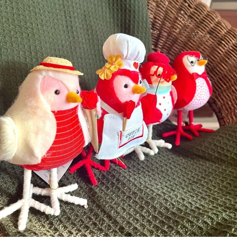 Target Spritz Feathery Friends 2023 Valentine’s Day Birds Set of 4 - NWT